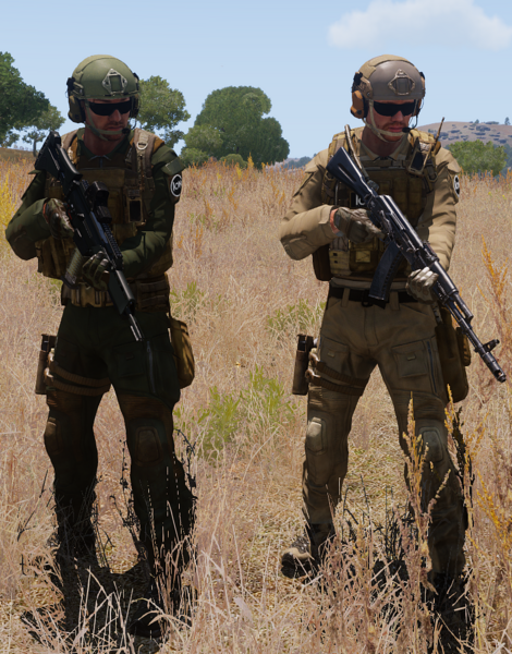 Datei:ION INF.png