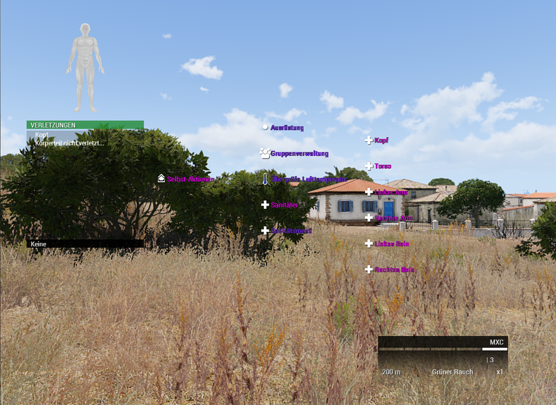 Datei:Farben ACE Menue ingame.png