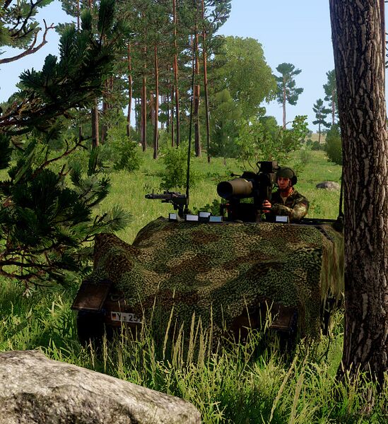 Datei:Wiesel 1 TOW.jpeg